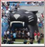 click for other views Carolina Panthers Football Tunnel on Field